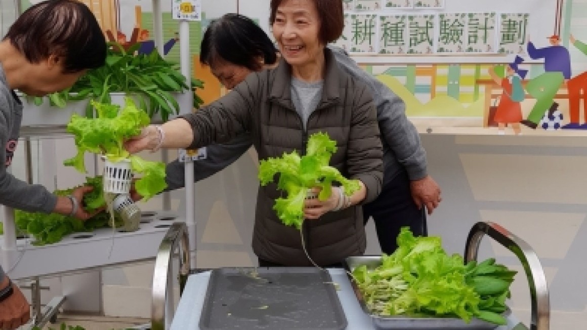 房協友里鄰里活動 (2024年12-2025年1月)