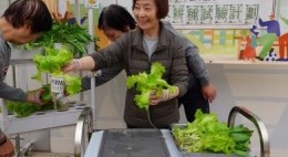 房協友里鄰里活動 (2024年12-2025年1月)