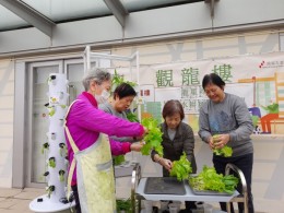 房協友里鄰里活動 (2024年12-2025年1月)