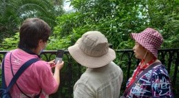 房協友里 友里結伴遊