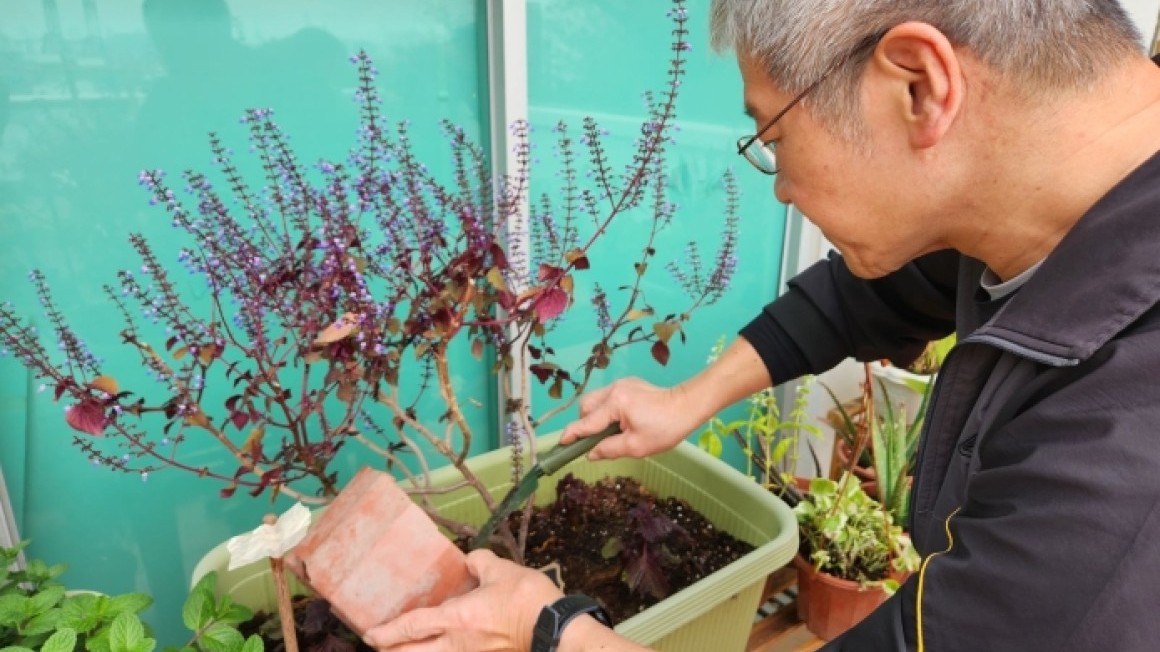 房協友里 友里綠惜生活 (2025年2-3月)