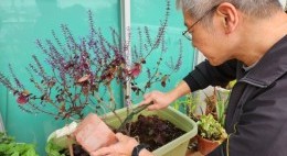 房協友里 友里綠惜生活 (2025年2-3月)