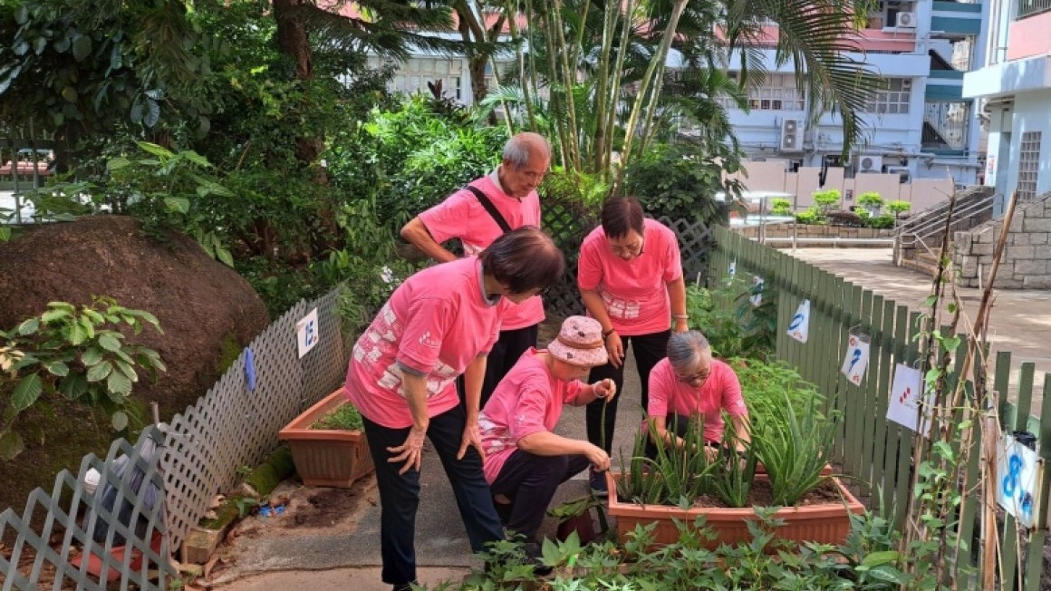 房協友里 友里綠惜生活 (2024年7-9月)