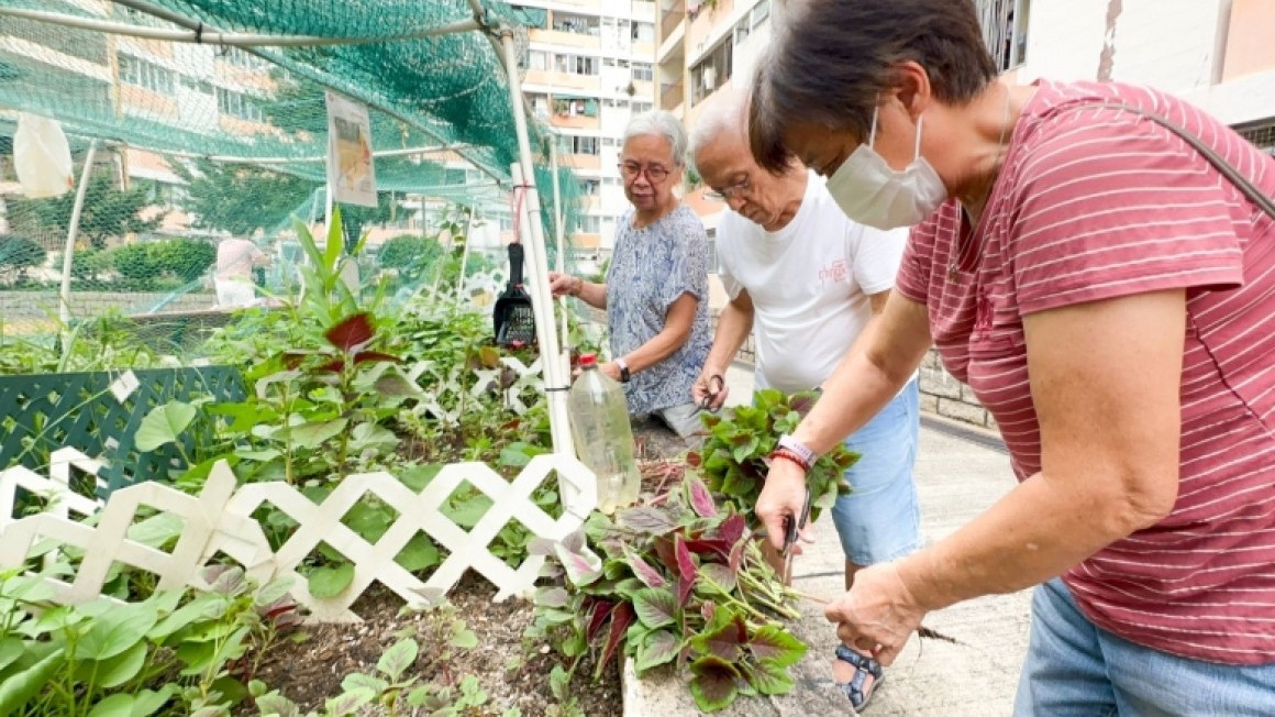 房協友里 友里綠惜生活 (2024年7-9月)
