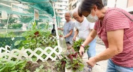 房協友里 友里綠惜生活 (2024年7-9月)
