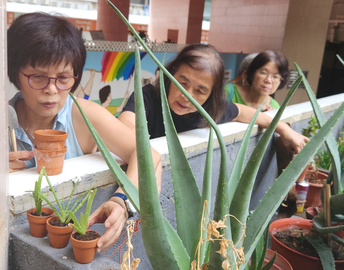 CES Green Activities (June -Aug 2025)