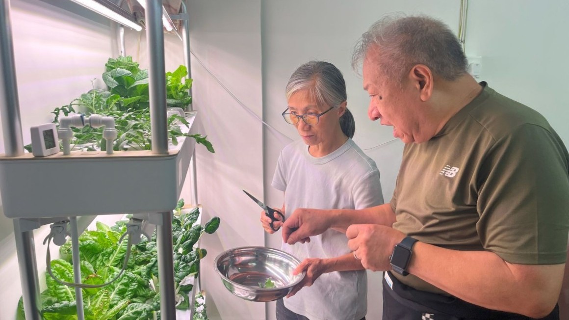 CES Green Activities (June -Aug 2025)