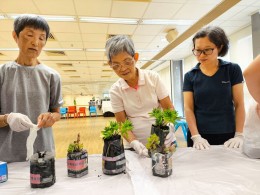 CES Green Activities (June -Aug 2025)