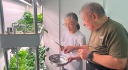 CES Green Activities (June -Aug 2025)