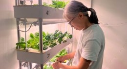CES Green Activities (June -Aug 2025)