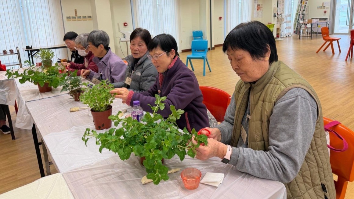 房协友里邻里活动