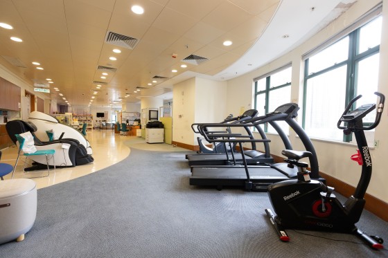 健頤閣 (住戶室內休閒設施)