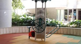 5樓平台花園