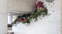 5樓平台花園