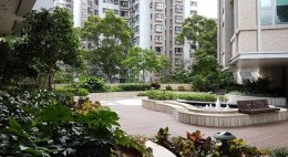 5樓平台花園