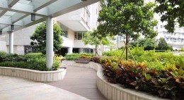 5樓平台花園