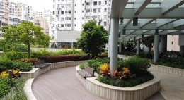 5樓平台花園