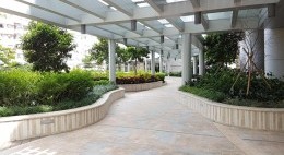 5樓平台花園