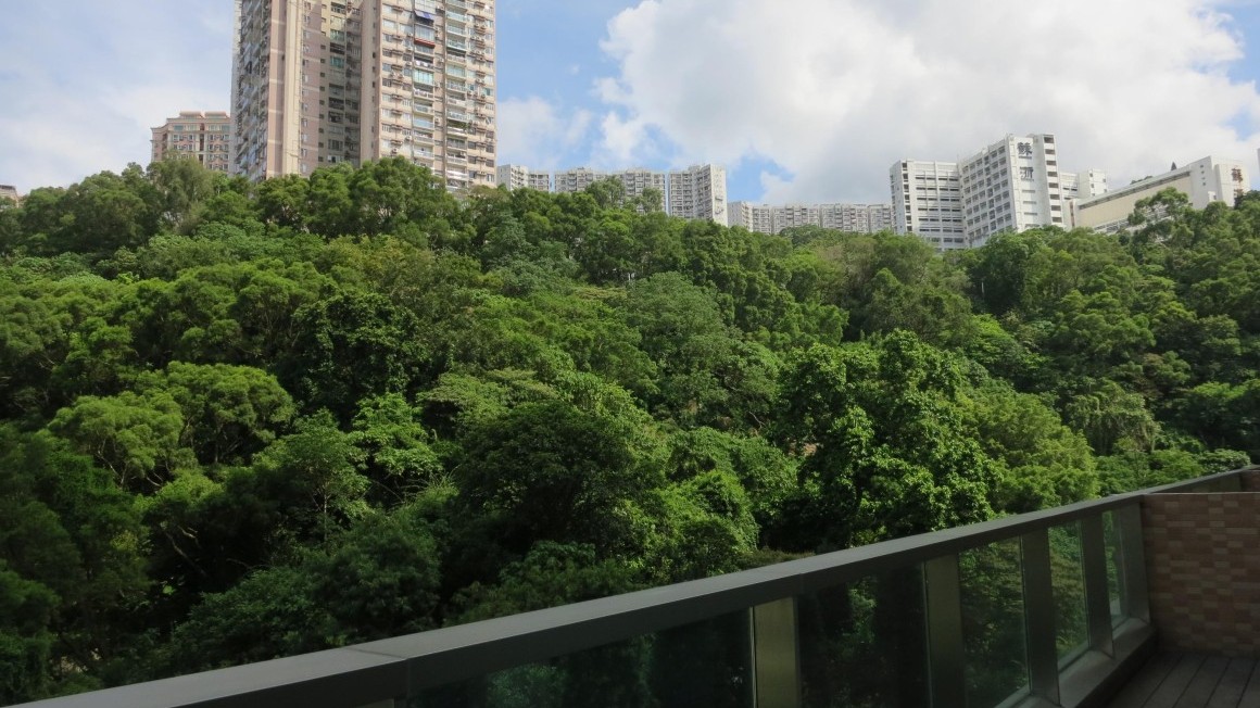 第二座10樓F單位之露台景