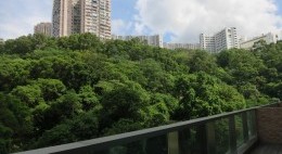 第二座10樓F單位之露台景